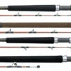 Daiwa V.I.P. A Saltwater Rods