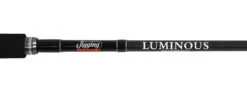 Jigging World Luminous Popping Rods -go fishing jigging world luminous popping rods 30297.1680784547