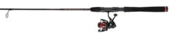 Penn Fierce III Spinning Combos -go fishing penn fierce iii spinning combos 68348.1651244456