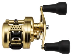 Shimano Calcutta Conquest MD Baitcasting Reels -go fishing shimano calcutta conquest md baitcasting reels 25316.1674255441