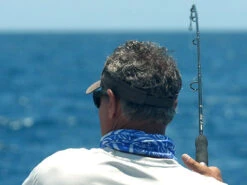 Shimano Terez Conventional Rods -go fishing shimano terez conventional fishing rods 83511.1661538644